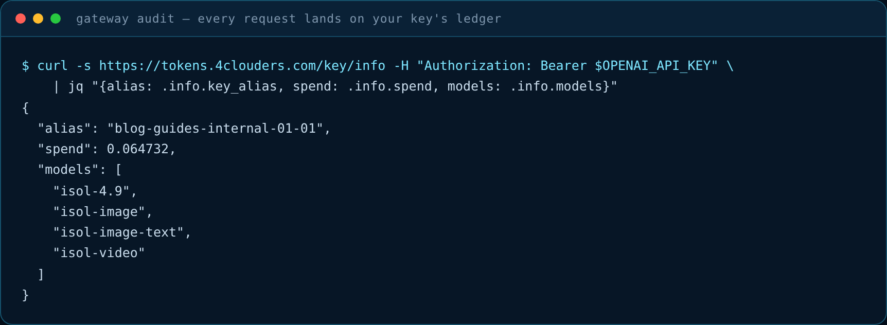 Real /key/info call showing per-key spend and allowed models